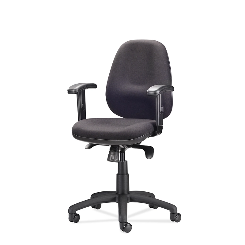 Fabric Mid-Back Executive Office Task Chair with Arms-T5 Delta