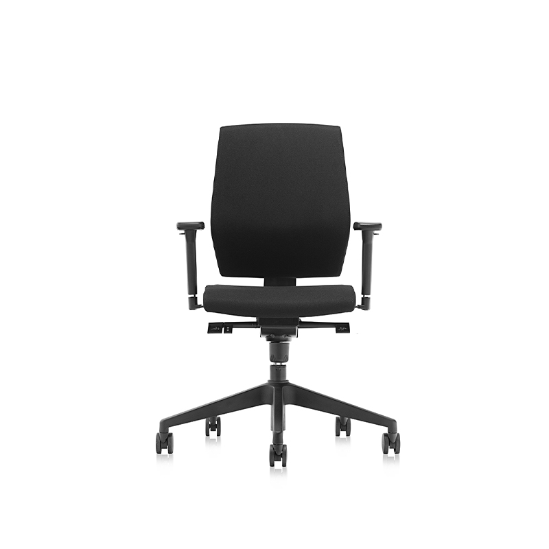 Best Comfortable Black Low Back Ergonomic Task Chair with Arms-T2 Alpha