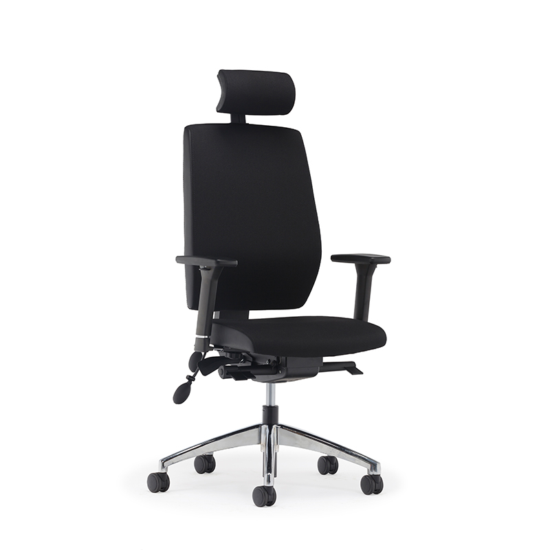 Best High Back Ergonomic Executive Office Chair with Lumbar Support-E2 Alpha