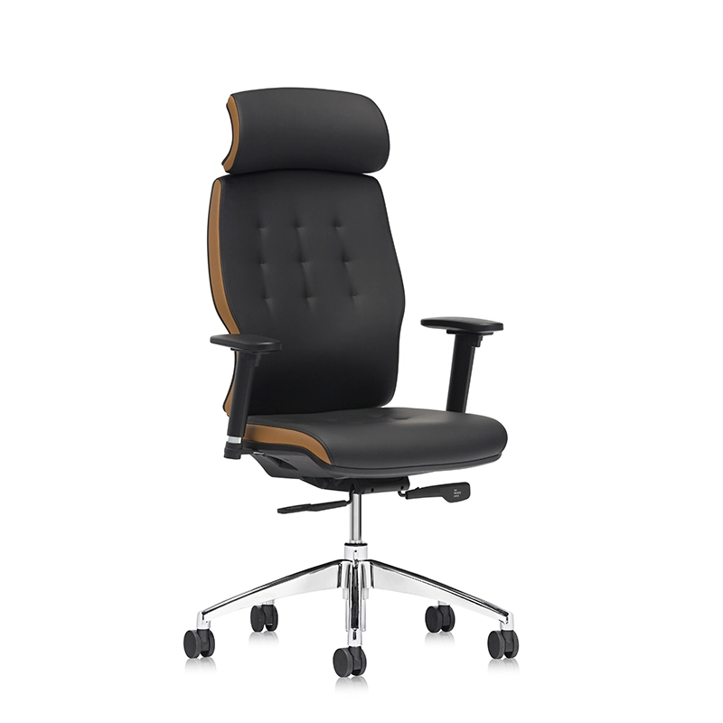 Best Comfortable Lumbar Support Adjustable Executive Chair for Office-E11 Helmet