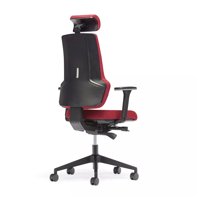 Best High Back Executive Ergonomic Office Chair for Long Hours-E6 Era