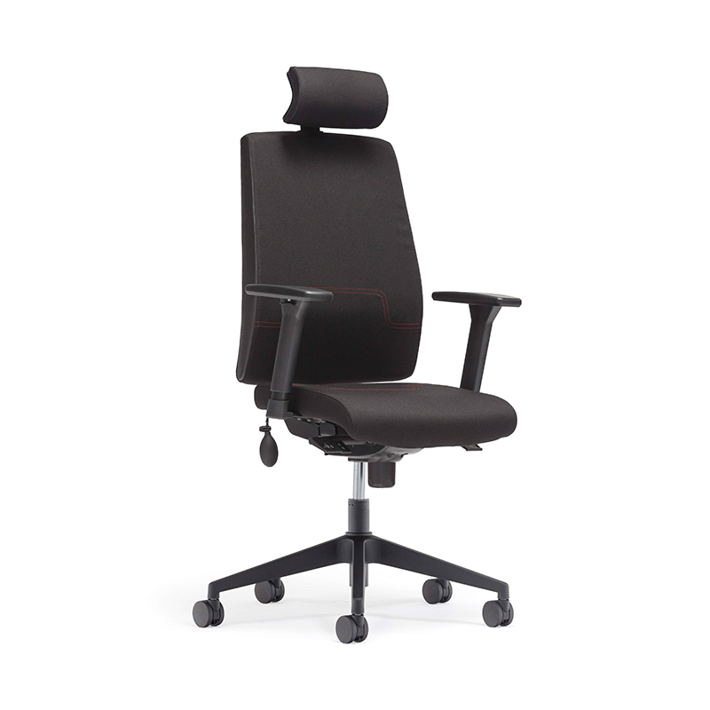 Best High Back Headrest Executive Chair with Adjustable Lumbar Support-E4 Gamma