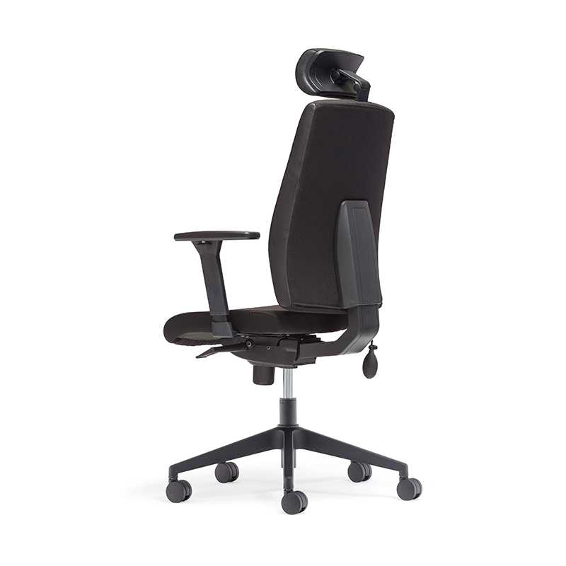 Best High Back Headrest Executive Chair with Adjustable Lumbar Support-E4 Gamma