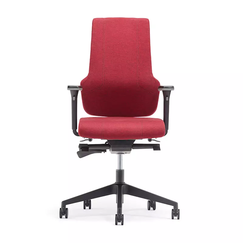 Best Home Office High Back Computer Task Chair with Back Support-T6 Era