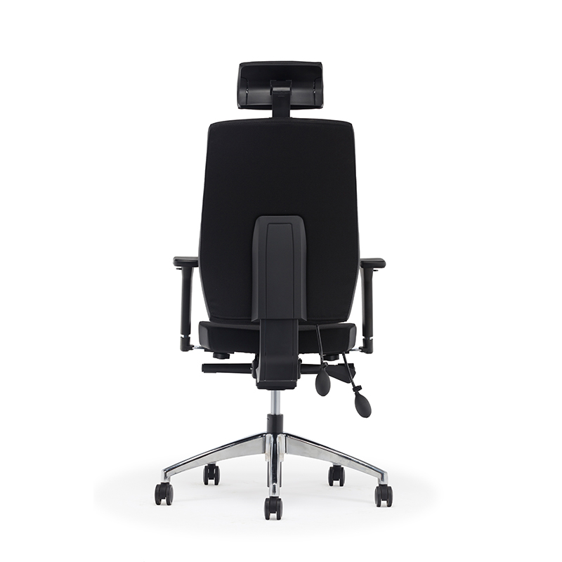 Best High Back Ergonomic Executive Office Chair with Lumbar Support-E2 Alpha