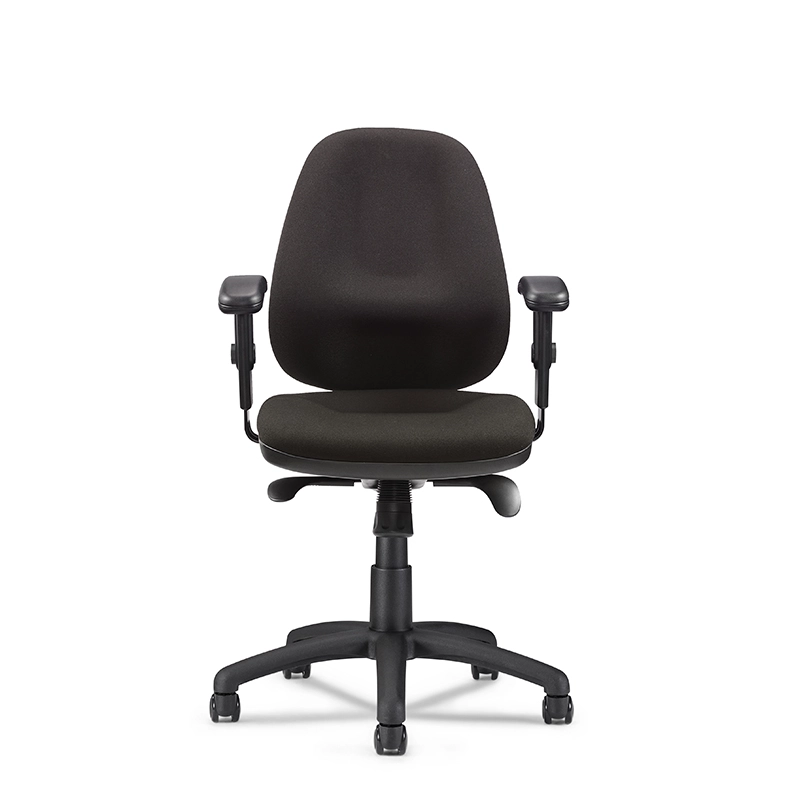 Fabric Mid-Back Executive Office Task Chair with Arms-T5 Delta