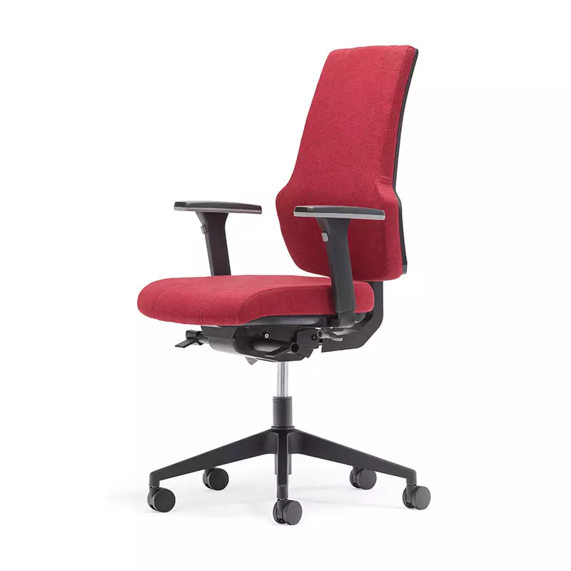 Best Home Office High Back Computer Task Chair with Back Support-T6 Era