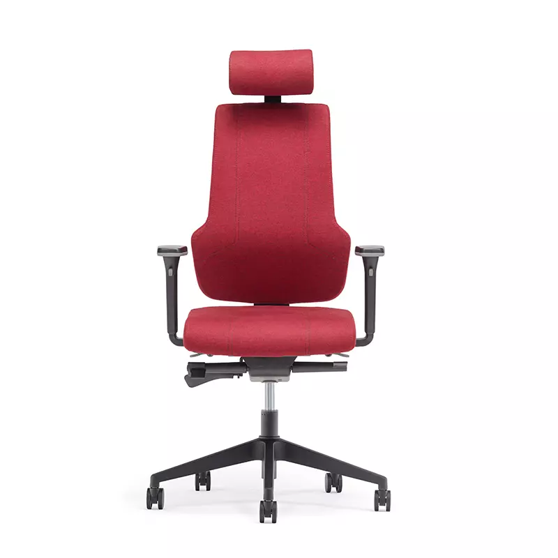 Best High Back Executive Ergonomic Office Chair for Long Hours-E6 Era