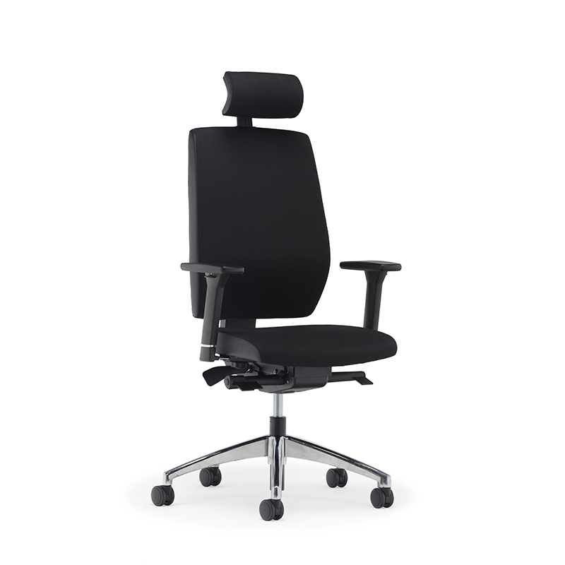 Best High Back Ergonomic Executive Office Chair with Lumbar Support-E2 Alpha