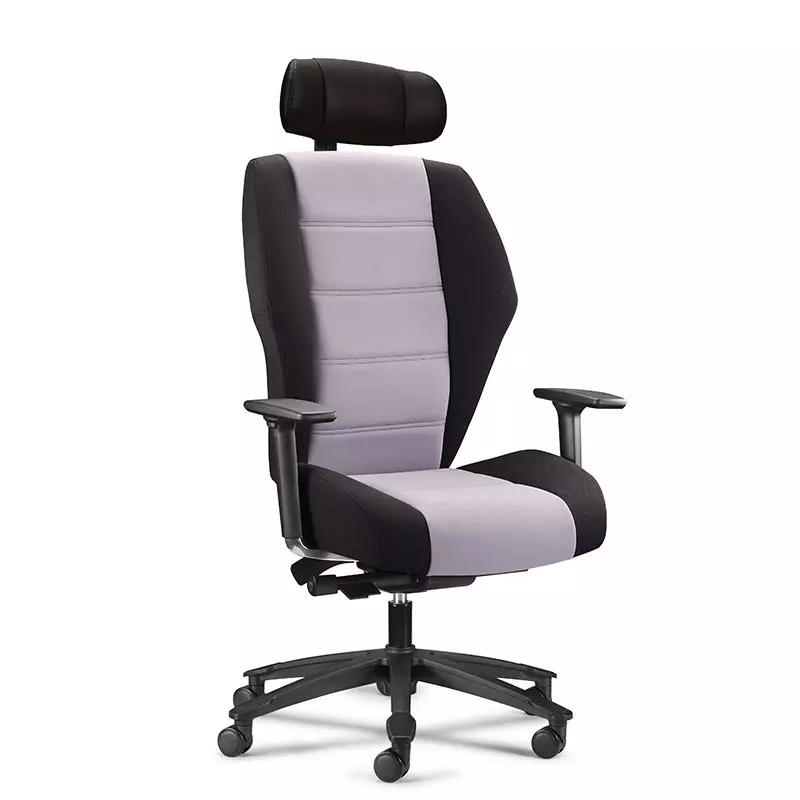 Boss Big and Tall Ergonomic Heavy Duty Office Chairs-HDE2 Hugge