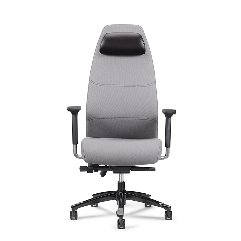 Best Posture Ergonomic Big and Tall Executive Office Chair-E9 Vita