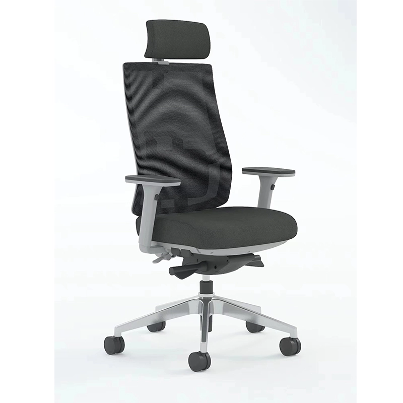 Best Ergonomic Mesh Executive Office Chair with Headrest-E10 Miro