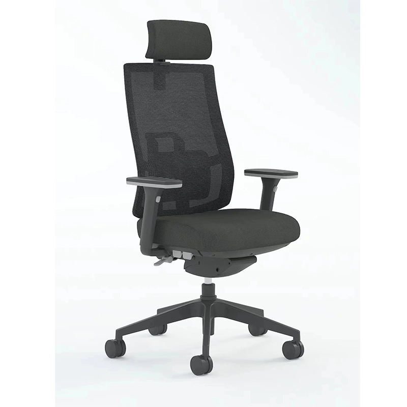 Best Ergonomic Mesh Executive Office Chair with Headrest-E10 Miro