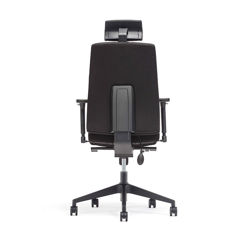 Best High Back Headrest Executive Chair with Adjustable Lumbar Support-E4 Gamma