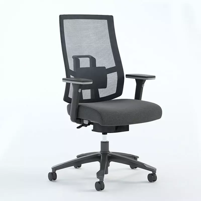 Big and Tall High Back Mesh Home Office Ergonomic Task Chair-T10 Miro