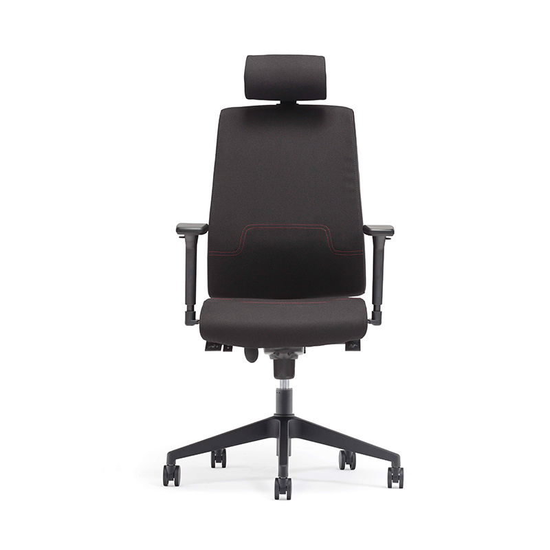 Best High Back Headrest Executive Chair with Adjustable Lumbar Support-E4 Gamma