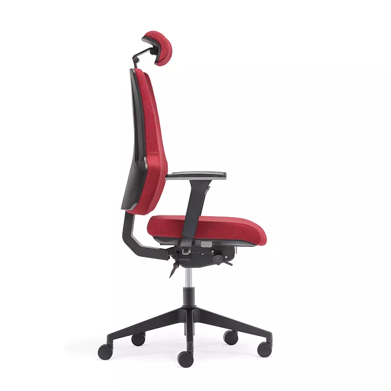 Best High Back Executive Ergonomic Office Chair for Long Hours-E6 Era