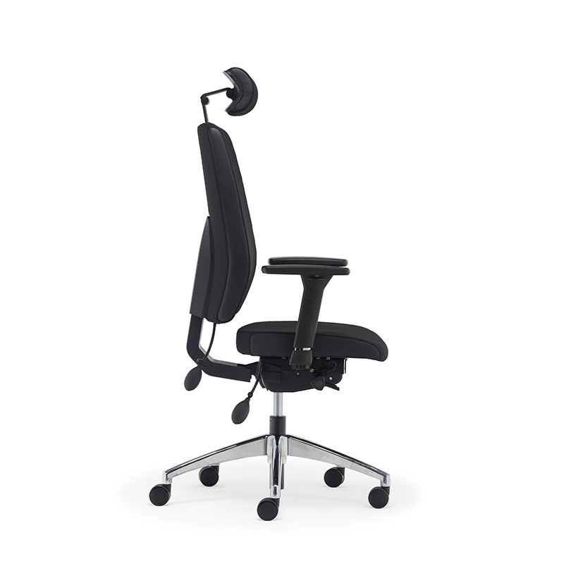 Best High Back Ergonomic Executive Office Chair with Lumbar Support-E2 Alpha