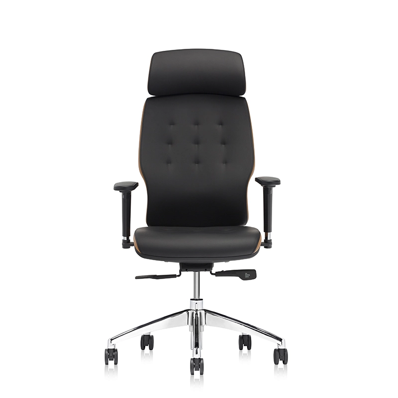 Best Comfortable Lumbar Support Adjustable Executive Chair for Office-E11 Helmet