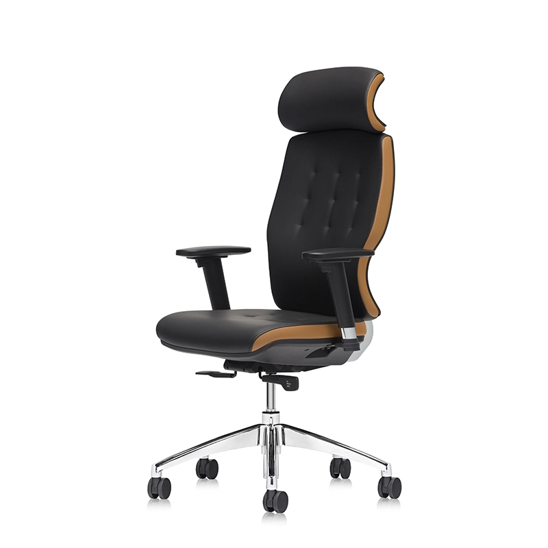 Best Comfortable Lumbar Support Adjustable Executive Chair for Office-E11 Helmet