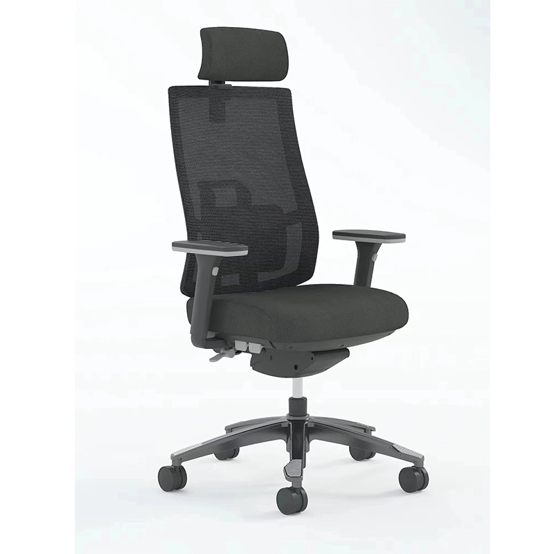 Best Ergonomic Mesh Executive Office Chair with Headrest-E10 Miro