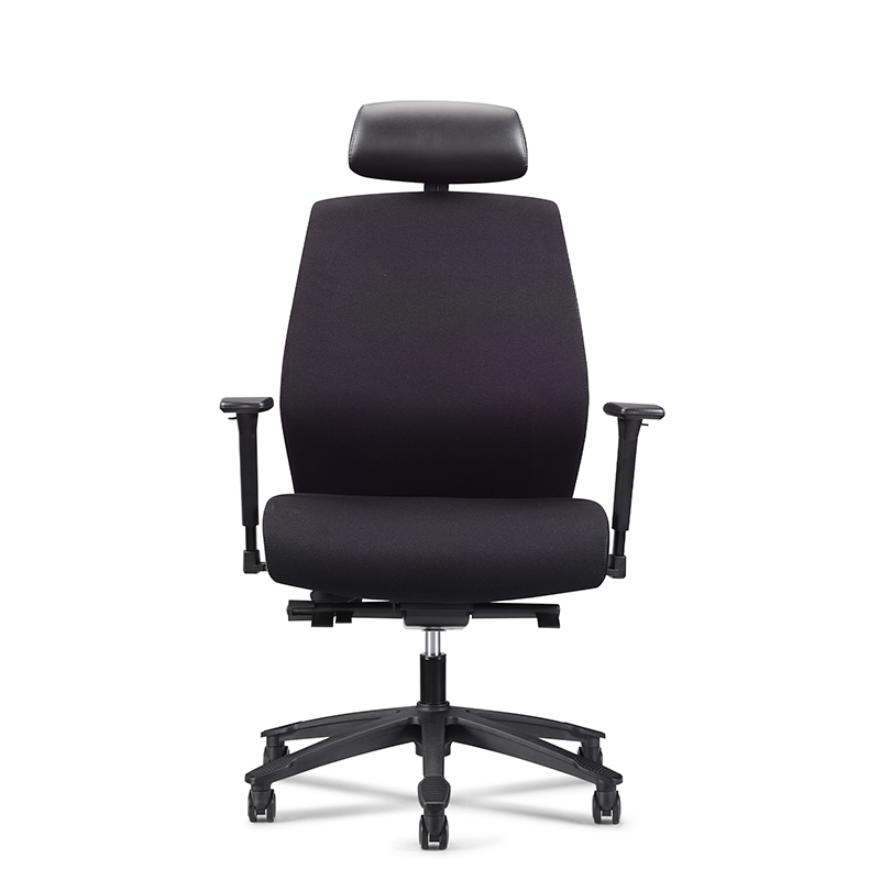 Heavy Duty High Back Ergonomic Home Office Chair-HDE1 Wave