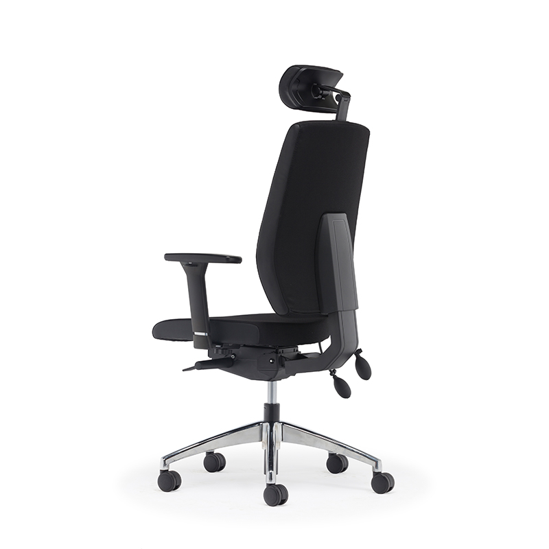 Best High Back Ergonomic Executive Office Chair with Lumbar Support-E2 Alpha