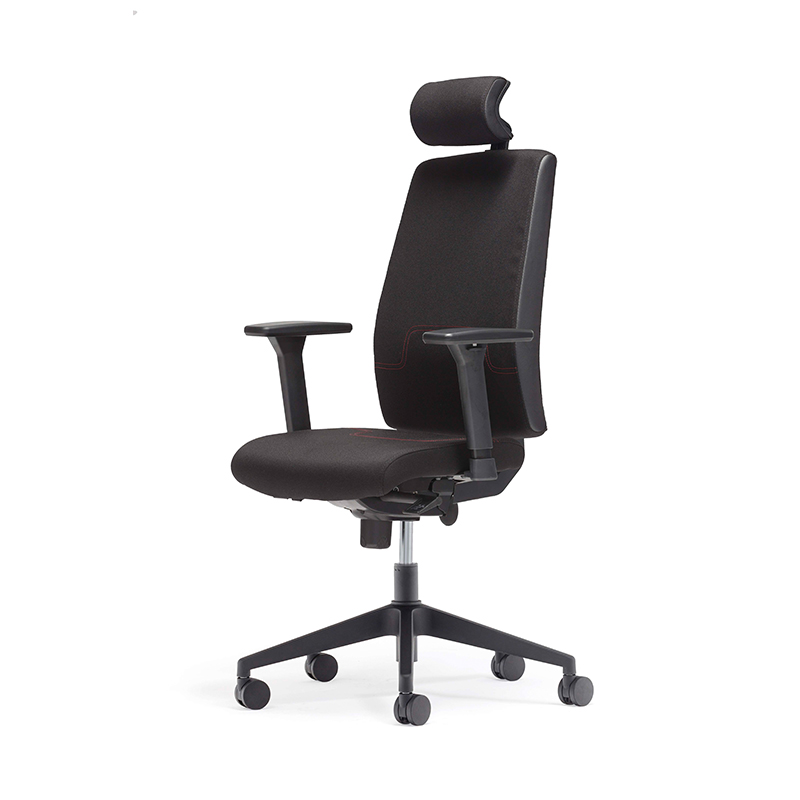 Best High Back Headrest Executive Chair with Adjustable Lumbar Support-E4 Gamma