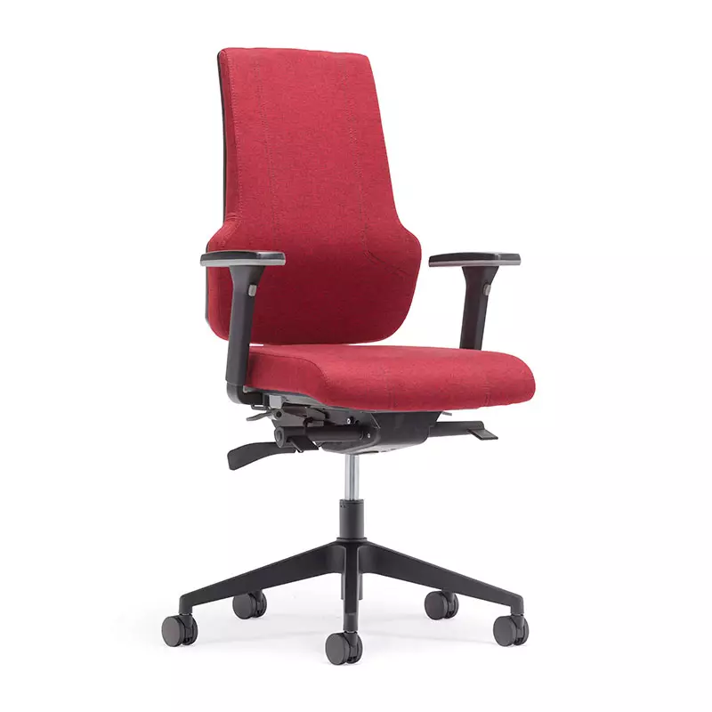 Best Home Office High Back Computer Task Chair with Back Support-T6 Era